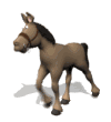 donkeyprancing.gif