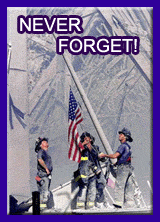 fdny_flag_3.gif